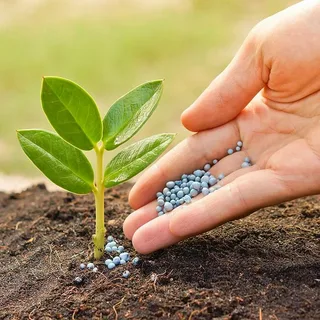 تصویر 1 از خرید کود نانو ارگانیک + قیمت فروش استثنایی